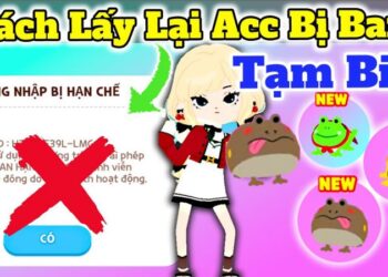 Hướng Dẫn Chi Tiết Cách Lấy Lại Acc Play Together Nhanh Chóng Nhất 2024