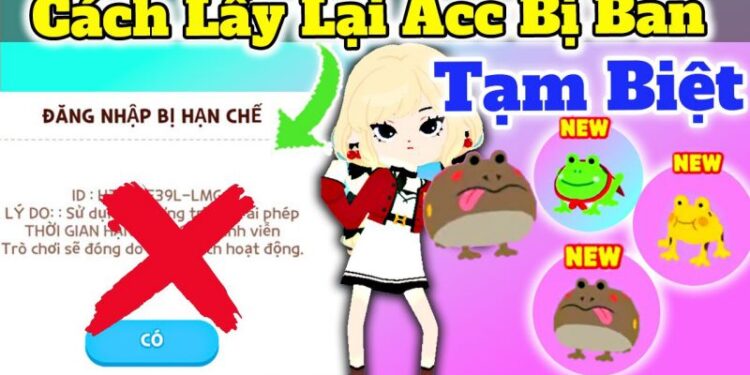 Hướng Dẫn Chi Tiết Cách Lấy Lại Acc Play Together Nhanh Chóng Nhất 2024