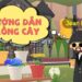Hướng Dẫn Cách Mua Chậu Cây Trong Play Together & Mẹo Nhanh Chóng Nở Hoa