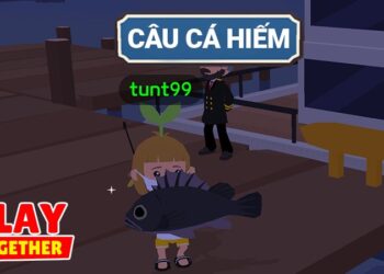 Thời gian câu cá trong Play Together chuẩn nhất mà bạn cần biết